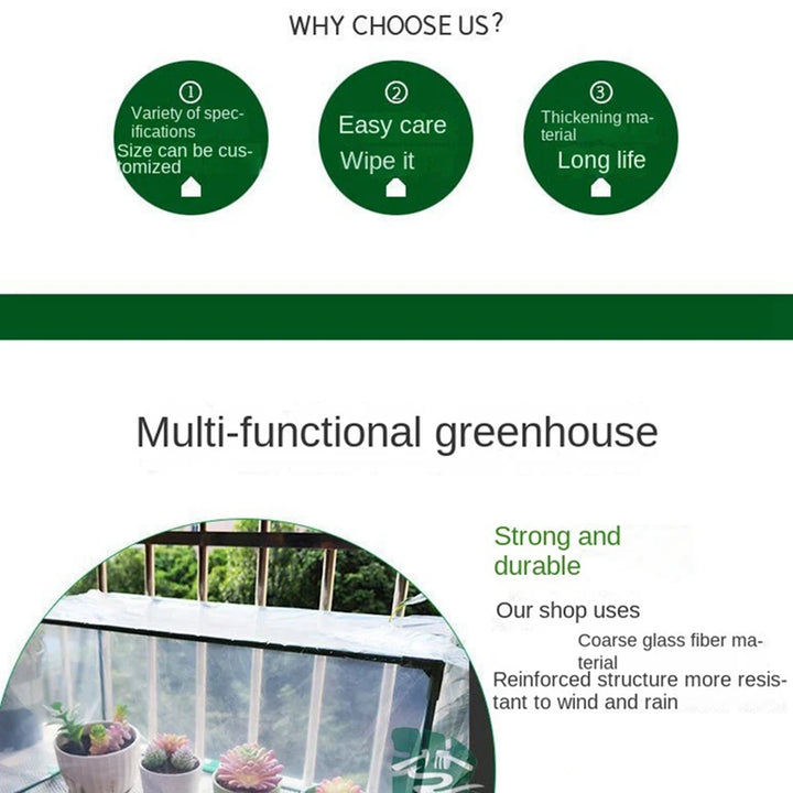 Mini Greenhouse Indoor Plants Small Green House