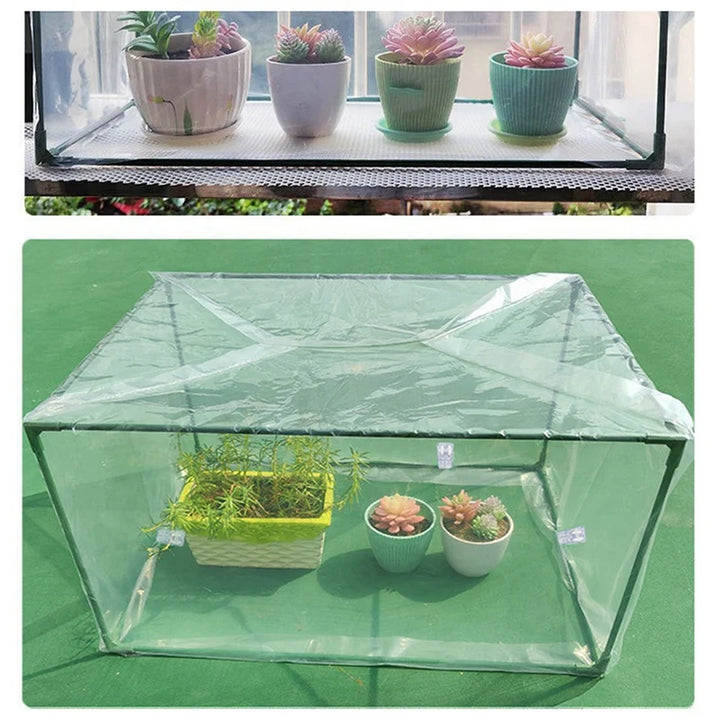 Mini Greenhouse Indoor Plants Small Green House